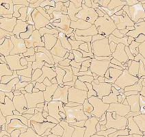 Кварцвиниловые полы Forbo Colorex EC EC 250215 oasis фото 1 | FLOORDEALER